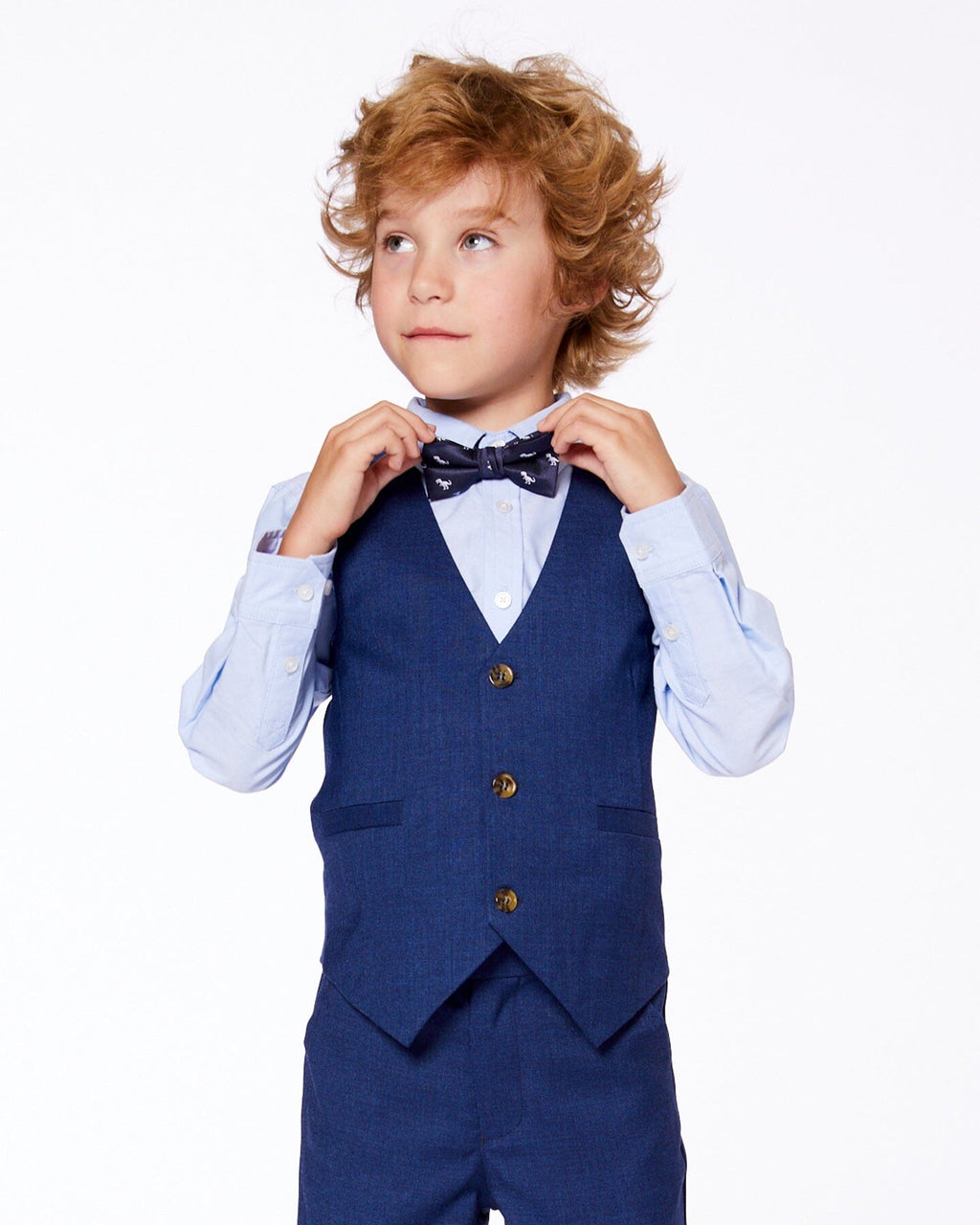 Bow Tie Blue Dino Print : Impression de dinosaure bleu avec nœud papillon