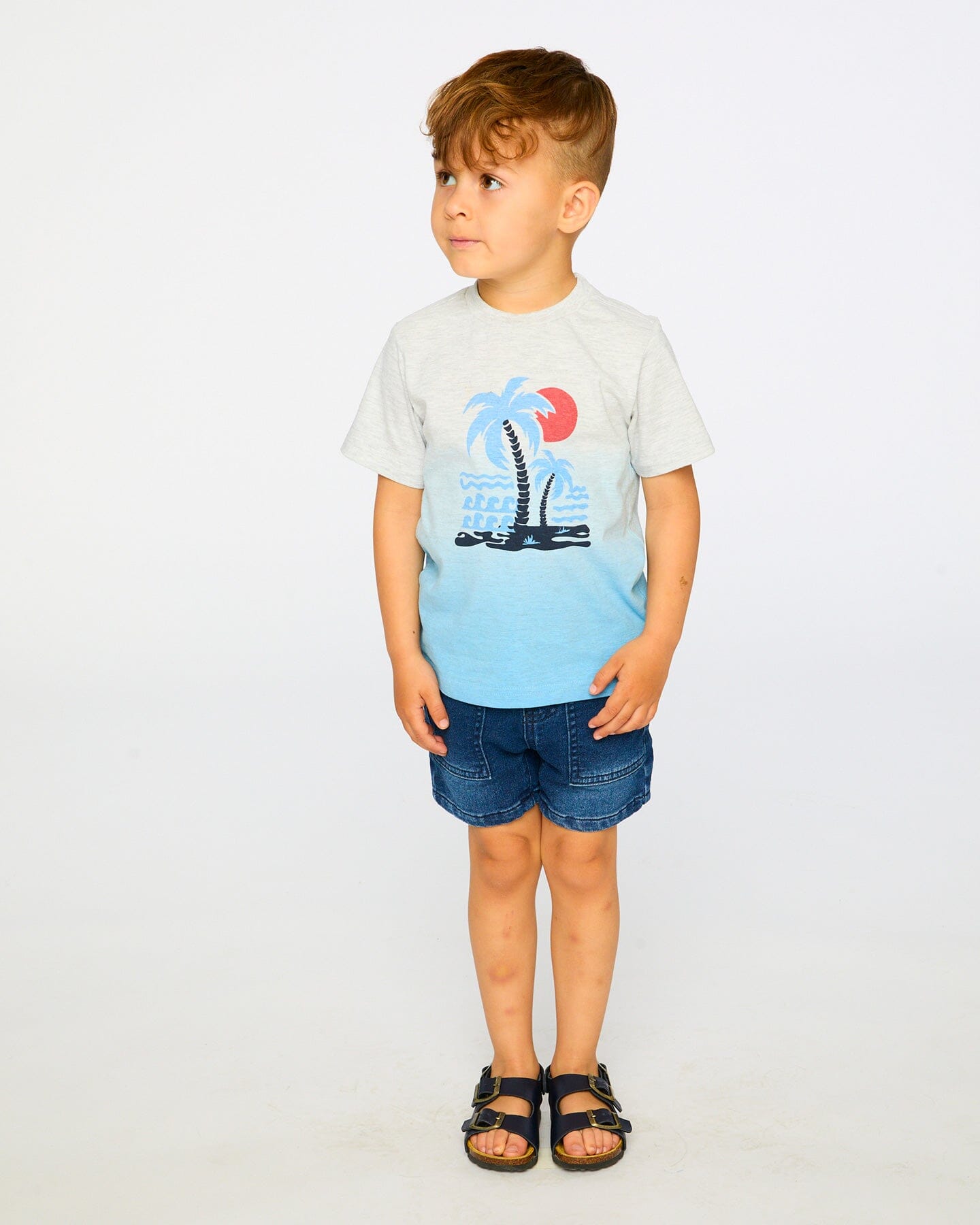Organic Cotton Short Sleeve T-Shirt Grey Mix To Blue Gradient : T-shirt à manches courtes en coton biologique Dégradé Gris Mix vers Bleu
